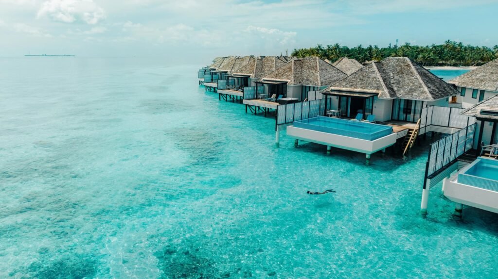 Paradise
